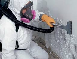 Best Mold Prevention Services  in Ponderosa Pine, NM